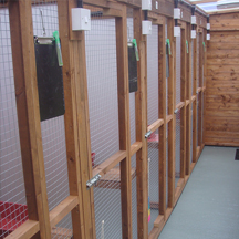 Netherfield Cattery