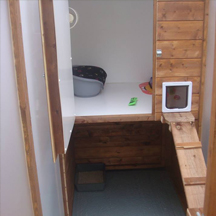 Netherfield Cattery